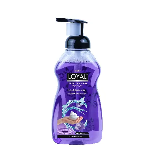 [FWASH-02] LOYAL Foaming Hand Wash Purple Mystery